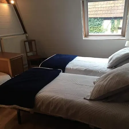 Tatil Evi Les Volets Verts Dambach